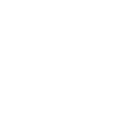 ALICE HOLLYWOOD